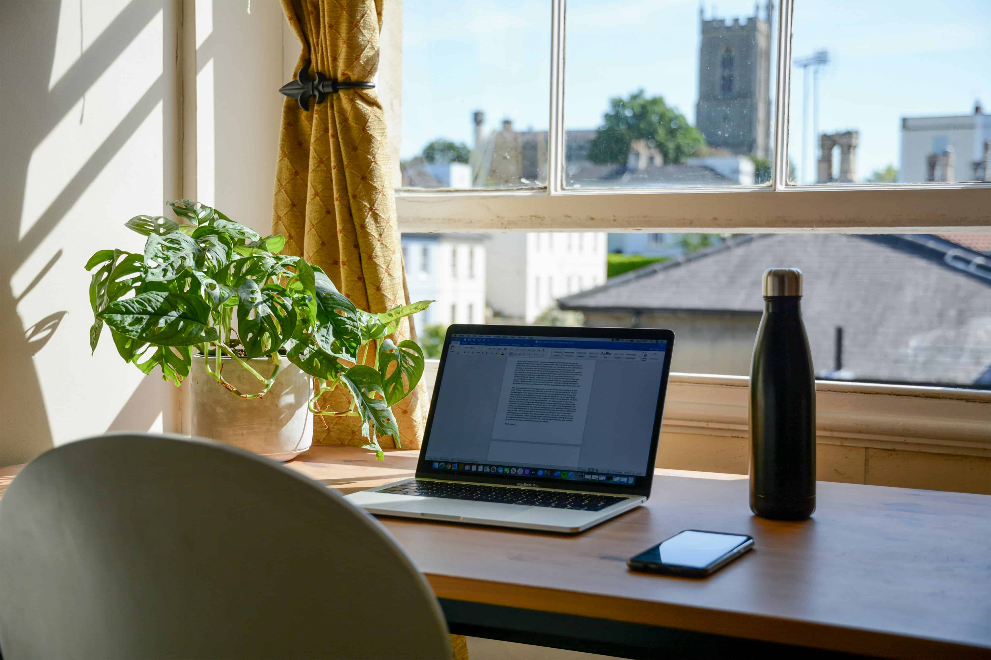Wide view of a warm, plant-filled workspace